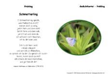 Schmetterling-Fallersleben.pdf